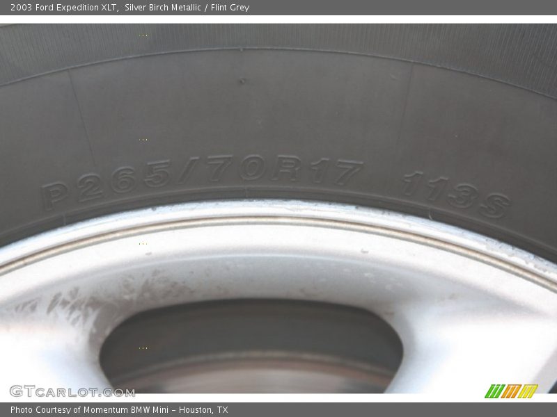 Silver Birch Metallic / Flint Grey 2003 Ford Expedition XLT