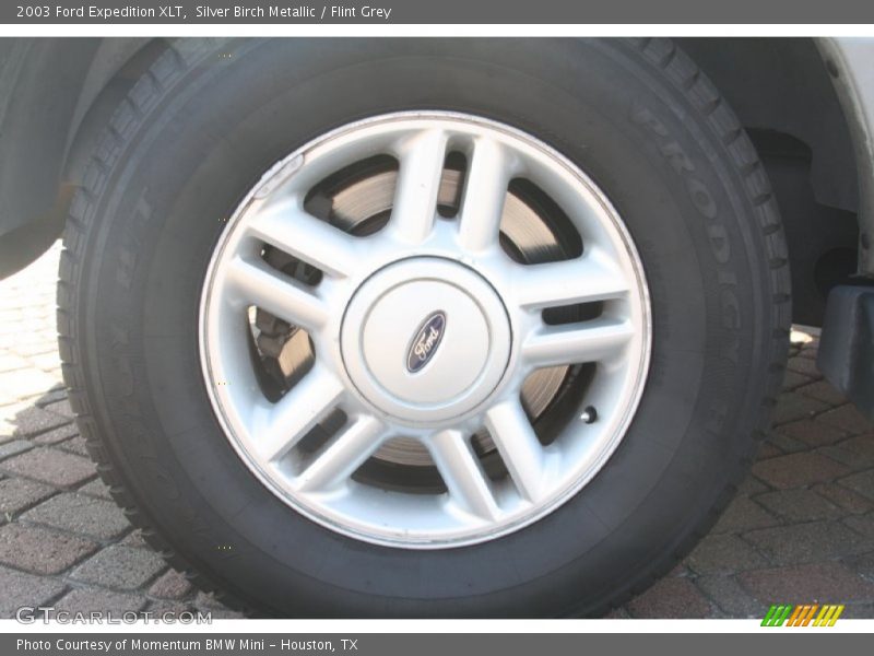 Silver Birch Metallic / Flint Grey 2003 Ford Expedition XLT