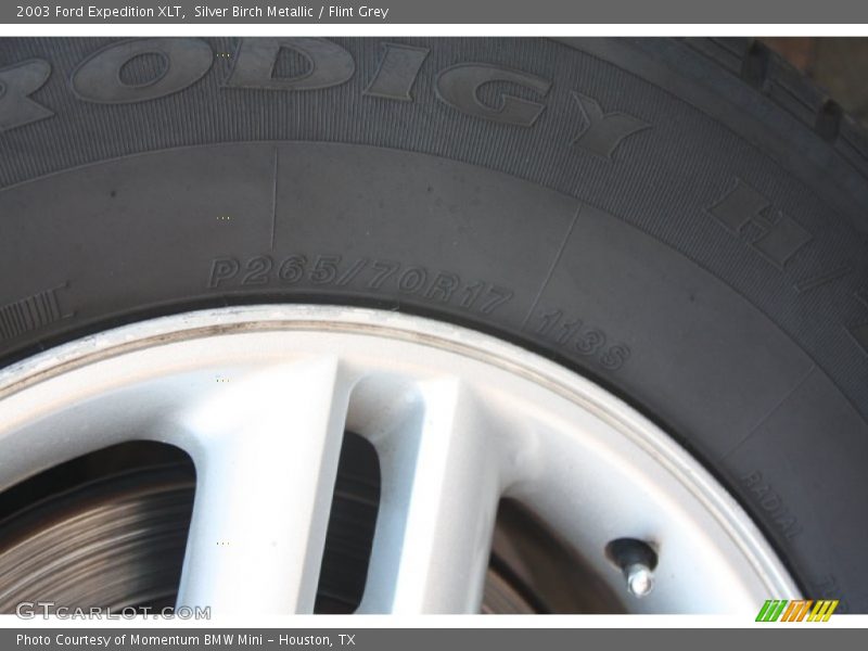 Silver Birch Metallic / Flint Grey 2003 Ford Expedition XLT