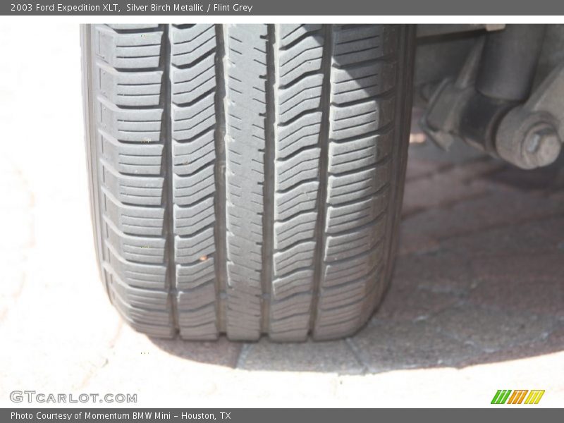 Silver Birch Metallic / Flint Grey 2003 Ford Expedition XLT