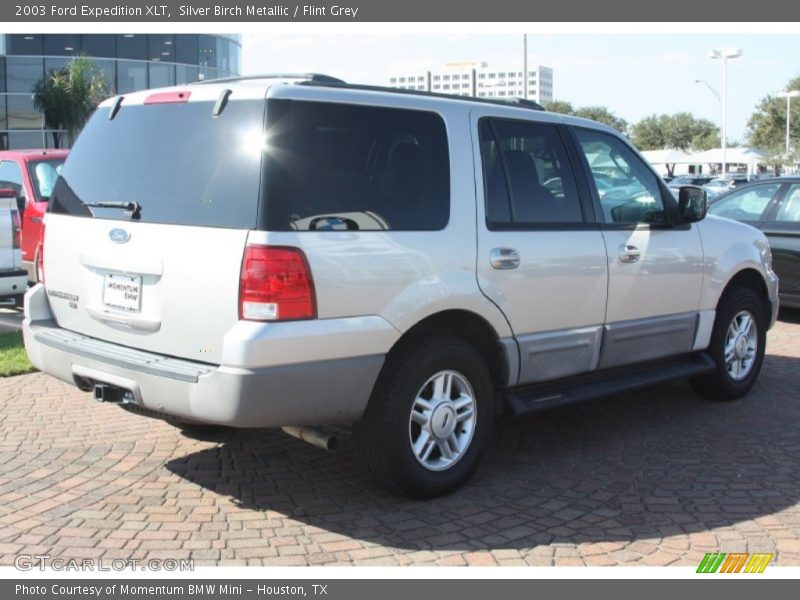 Silver Birch Metallic / Flint Grey 2003 Ford Expedition XLT