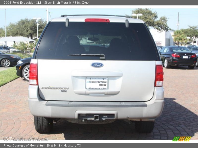 Silver Birch Metallic / Flint Grey 2003 Ford Expedition XLT