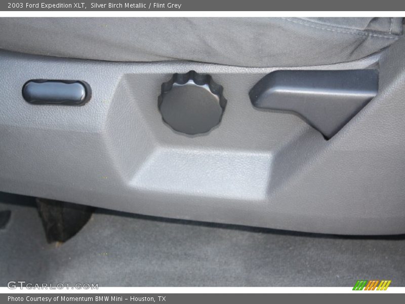 Silver Birch Metallic / Flint Grey 2003 Ford Expedition XLT