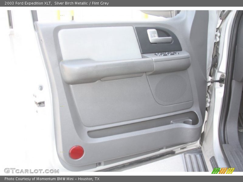 Silver Birch Metallic / Flint Grey 2003 Ford Expedition XLT