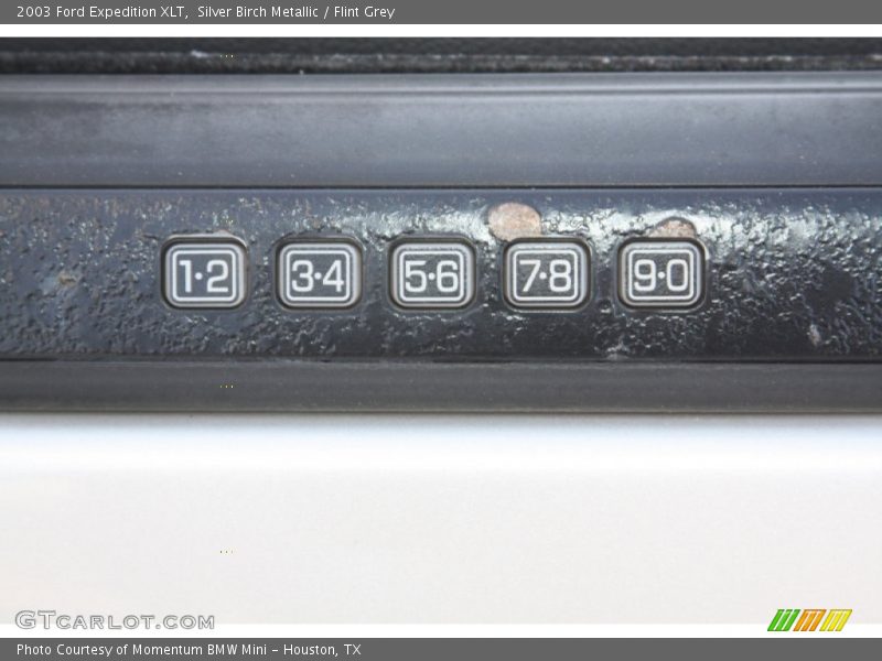 Silver Birch Metallic / Flint Grey 2003 Ford Expedition XLT