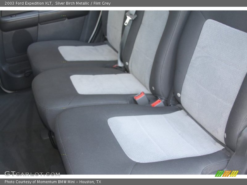 Silver Birch Metallic / Flint Grey 2003 Ford Expedition XLT