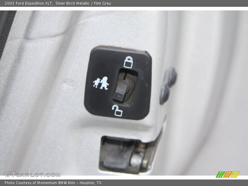 Silver Birch Metallic / Flint Grey 2003 Ford Expedition XLT