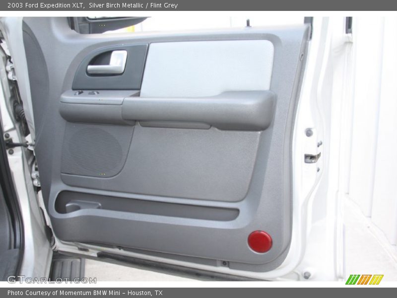 Silver Birch Metallic / Flint Grey 2003 Ford Expedition XLT