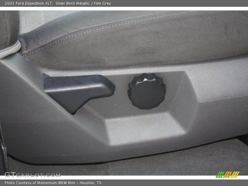 Silver Birch Metallic / Flint Grey 2003 Ford Expedition XLT