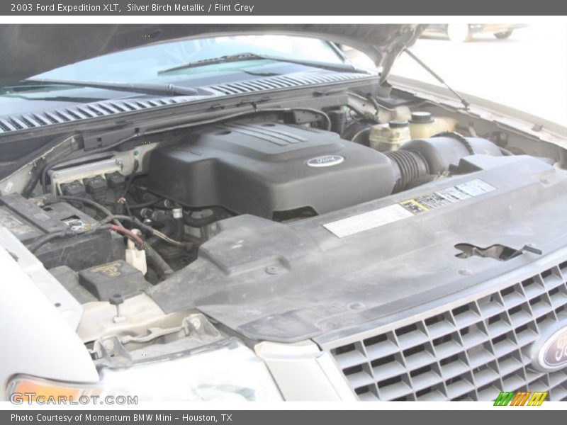Silver Birch Metallic / Flint Grey 2003 Ford Expedition XLT