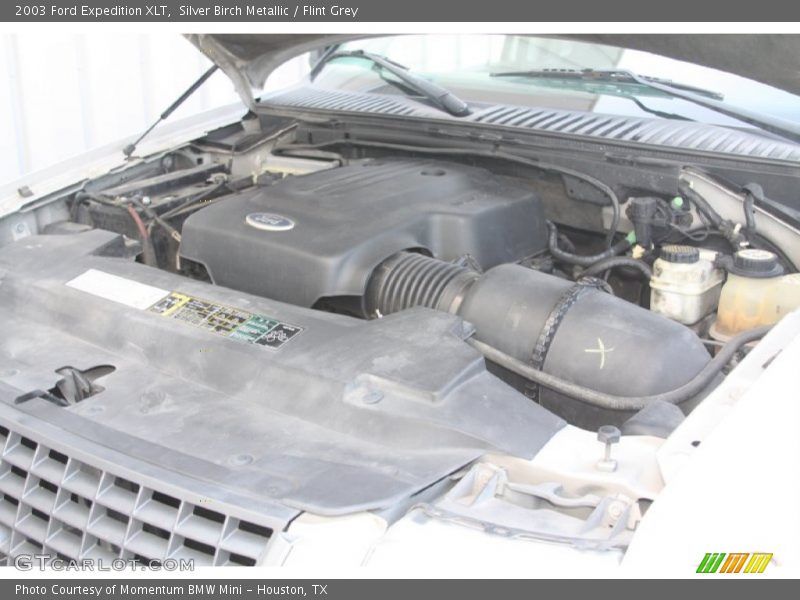 Silver Birch Metallic / Flint Grey 2003 Ford Expedition XLT