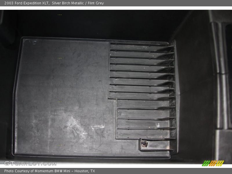 Silver Birch Metallic / Flint Grey 2003 Ford Expedition XLT