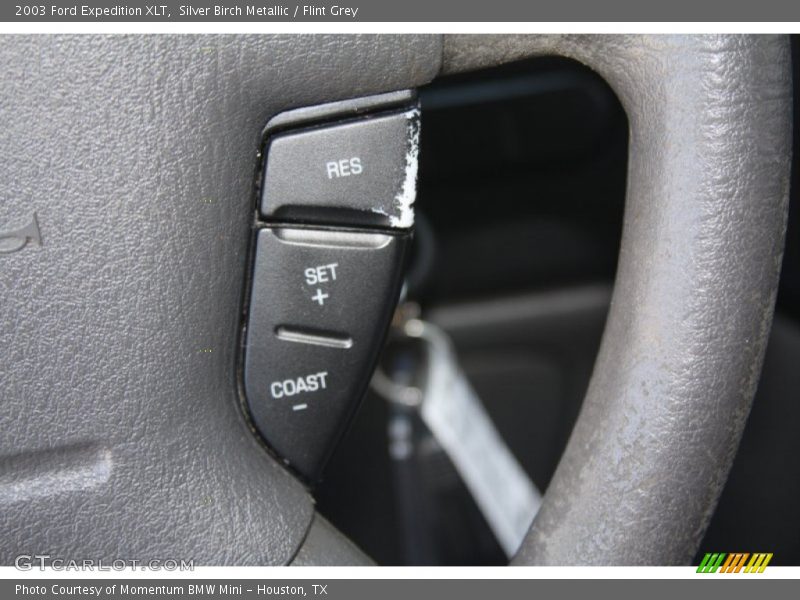 Silver Birch Metallic / Flint Grey 2003 Ford Expedition XLT