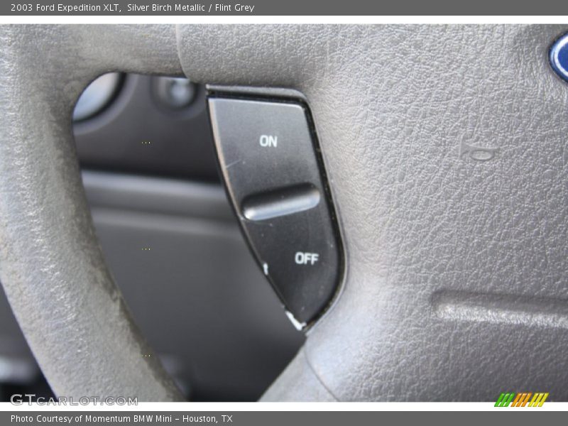 Silver Birch Metallic / Flint Grey 2003 Ford Expedition XLT