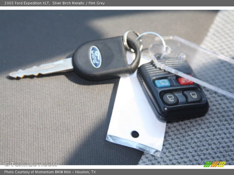 Silver Birch Metallic / Flint Grey 2003 Ford Expedition XLT