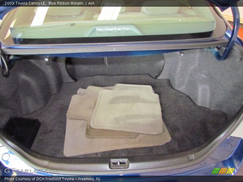 Blue Ribbon Metallic / Ash 2009 Toyota Camry LE