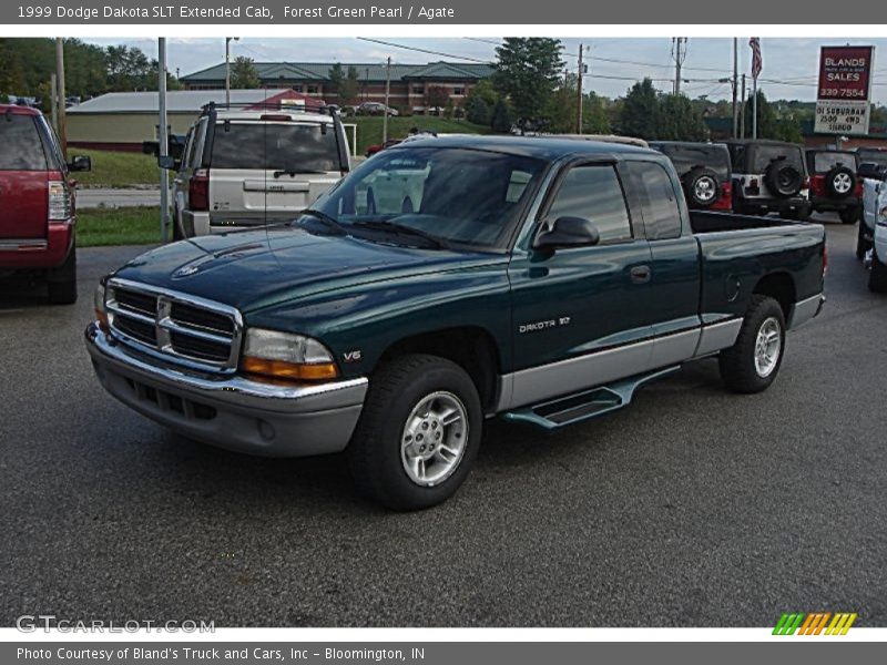 Forest Green Pearl / Agate 1999 Dodge Dakota SLT Extended Cab