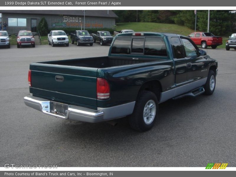 Forest Green Pearl / Agate 1999 Dodge Dakota SLT Extended Cab