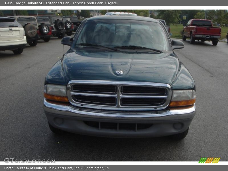 Forest Green Pearl / Agate 1999 Dodge Dakota SLT Extended Cab