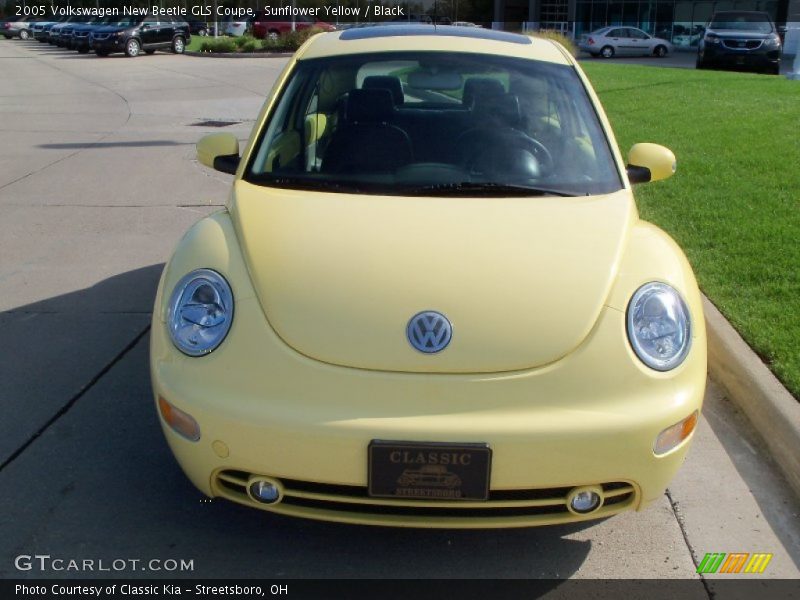 Sunflower Yellow / Black 2005 Volkswagen New Beetle GLS Coupe