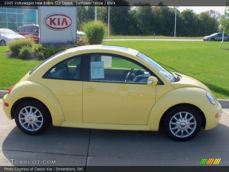 Sunflower Yellow / Black 2005 Volkswagen New Beetle GLS Coupe