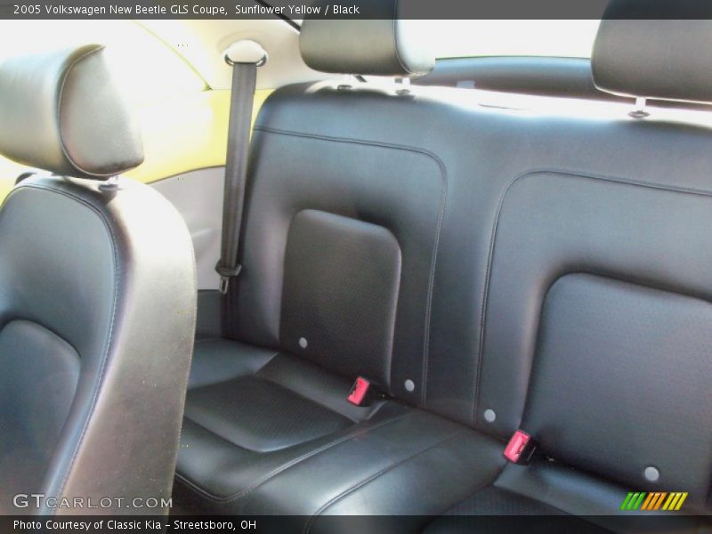 Sunflower Yellow / Black 2005 Volkswagen New Beetle GLS Coupe