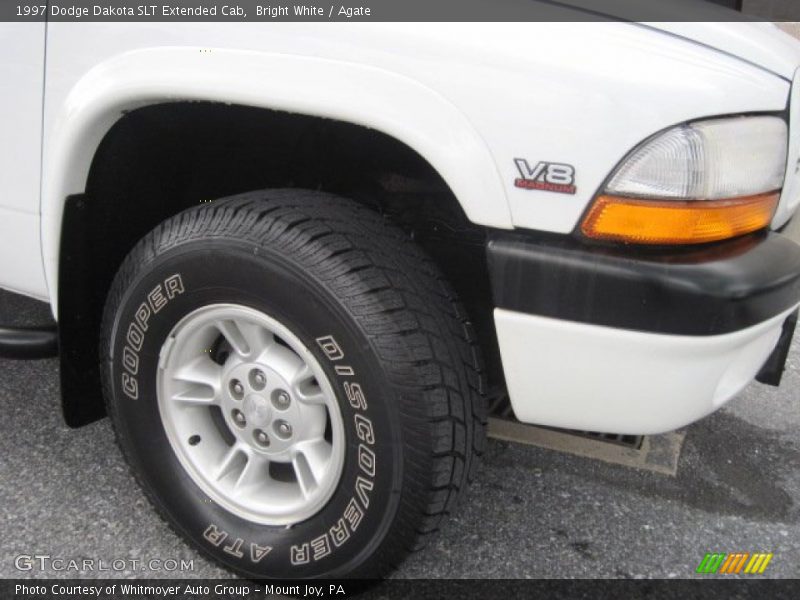 Bright White / Agate 1997 Dodge Dakota SLT Extended Cab