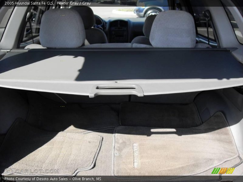 Pewter Gray / Gray 2005 Hyundai Santa Fe GLS