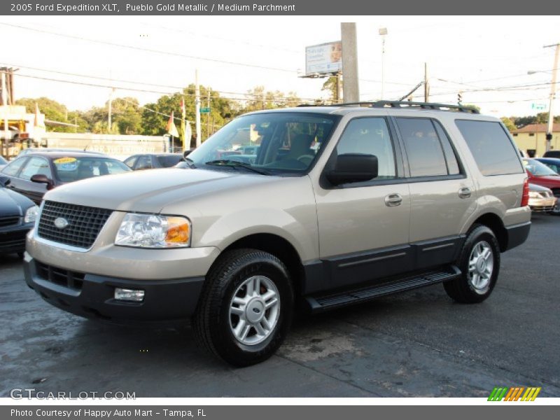 Pueblo Gold Metallic / Medium Parchment 2005 Ford Expedition XLT