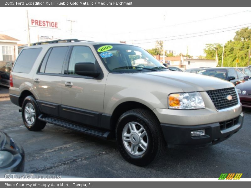 Pueblo Gold Metallic / Medium Parchment 2005 Ford Expedition XLT