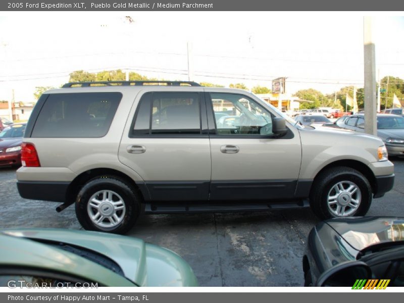 Pueblo Gold Metallic / Medium Parchment 2005 Ford Expedition XLT