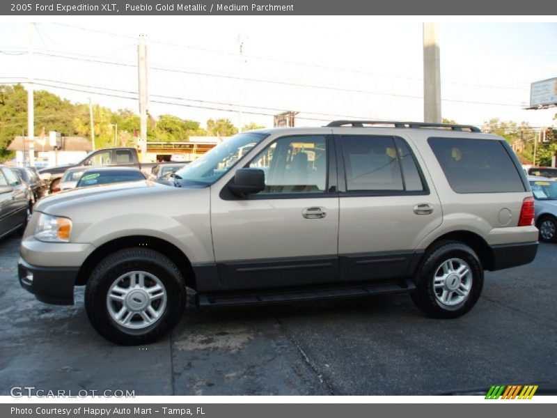 Pueblo Gold Metallic / Medium Parchment 2005 Ford Expedition XLT