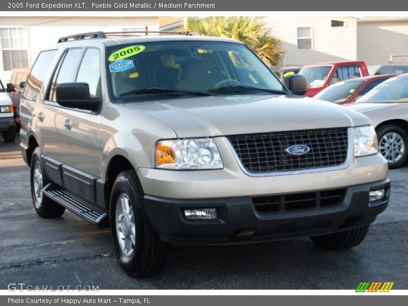 Pueblo Gold Metallic / Medium Parchment 2005 Ford Expedition XLT
