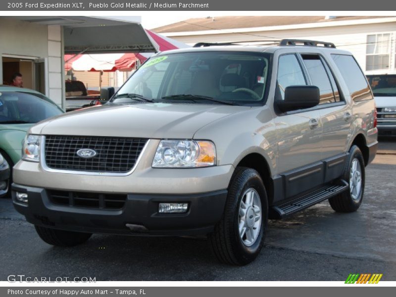 Pueblo Gold Metallic / Medium Parchment 2005 Ford Expedition XLT