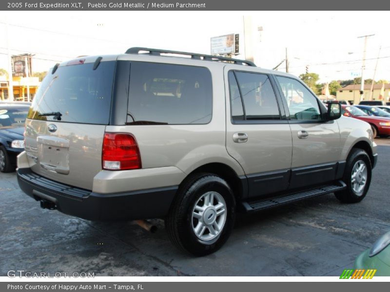 Pueblo Gold Metallic / Medium Parchment 2005 Ford Expedition XLT