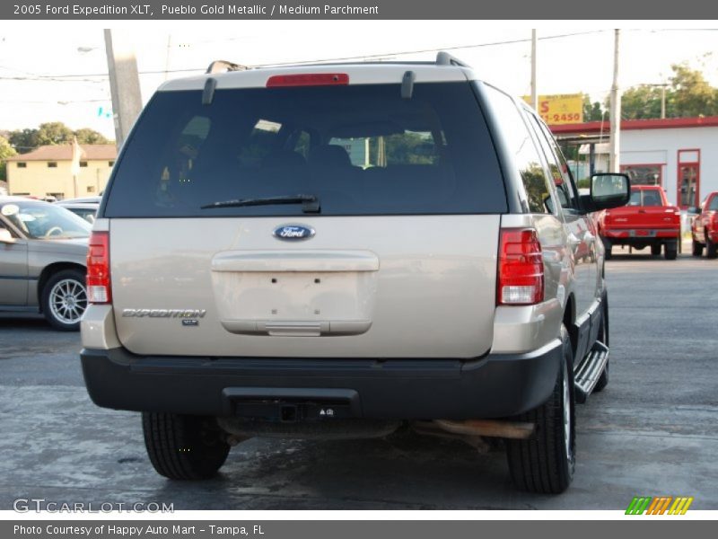 Pueblo Gold Metallic / Medium Parchment 2005 Ford Expedition XLT