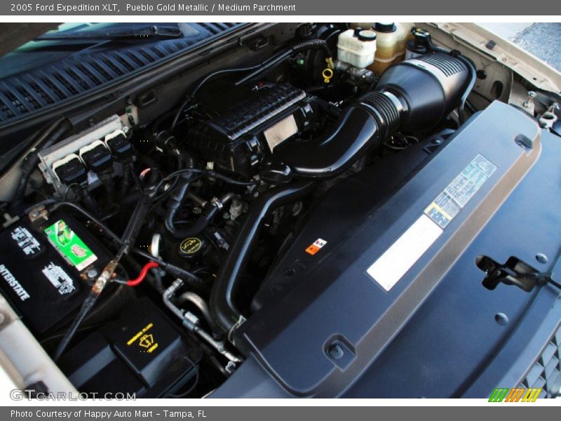 Pueblo Gold Metallic / Medium Parchment 2005 Ford Expedition XLT