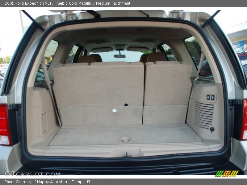Pueblo Gold Metallic / Medium Parchment 2005 Ford Expedition XLT