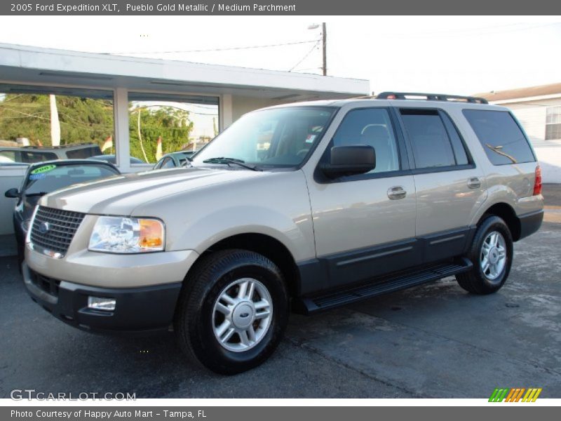 Pueblo Gold Metallic / Medium Parchment 2005 Ford Expedition XLT