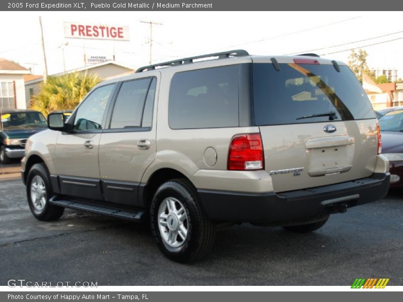 Pueblo Gold Metallic / Medium Parchment 2005 Ford Expedition XLT