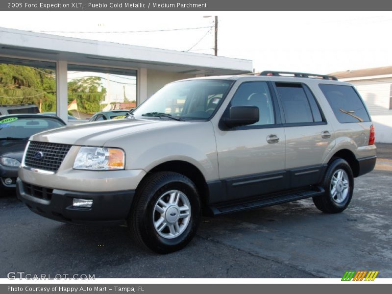 Pueblo Gold Metallic / Medium Parchment 2005 Ford Expedition XLT