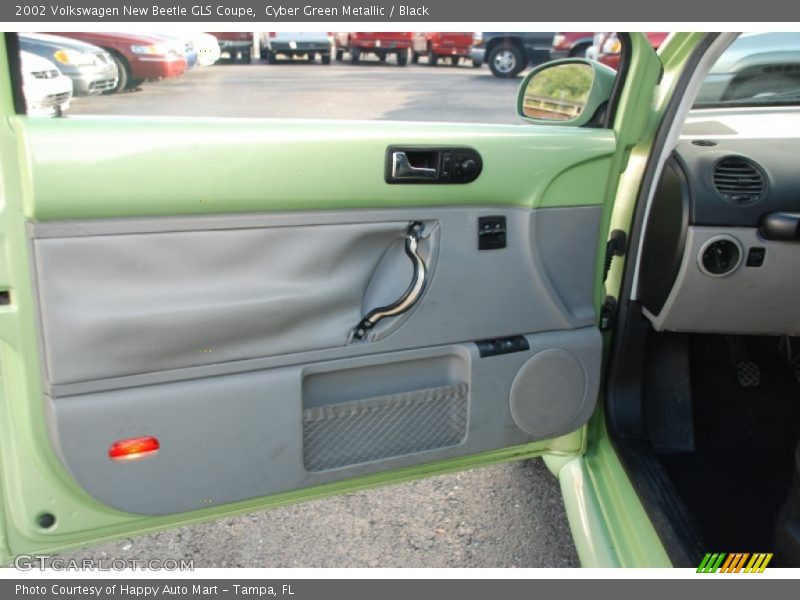 Door Panel of 2002 New Beetle GLS Coupe