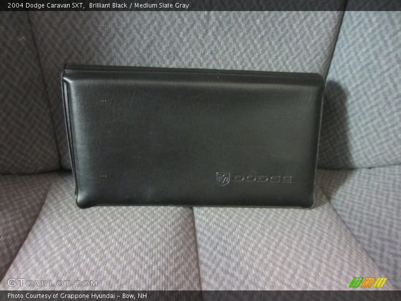 Brilliant Black / Medium Slate Gray 2004 Dodge Caravan SXT