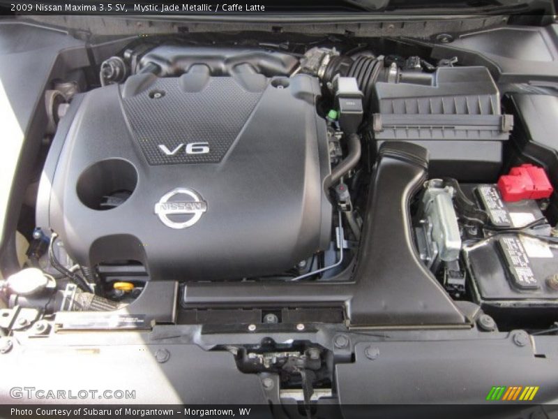 Mystic Jade Metallic / Caffe Latte 2009 Nissan Maxima 3.5 SV