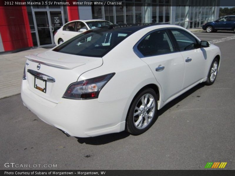Winter Frost White / Charcoal 2012 Nissan Maxima 3.5 SV Premium