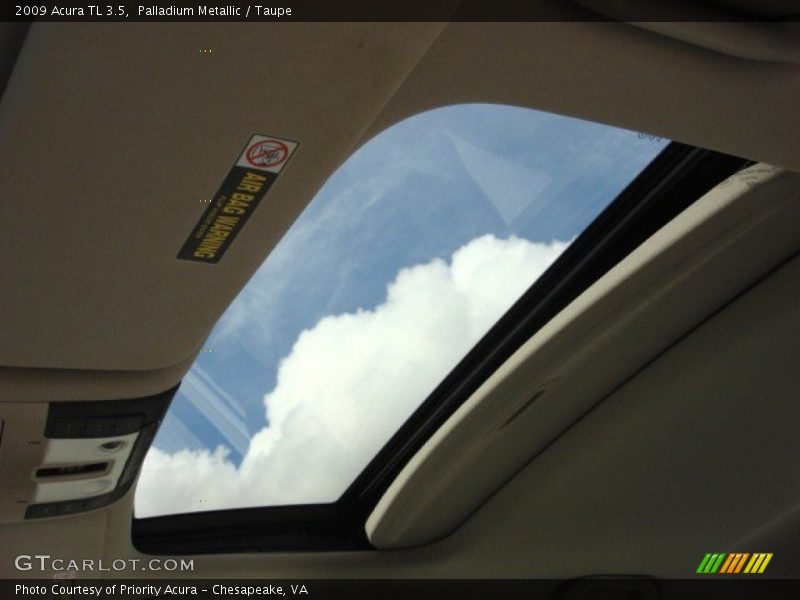 Palladium Metallic / Taupe 2009 Acura TL 3.5