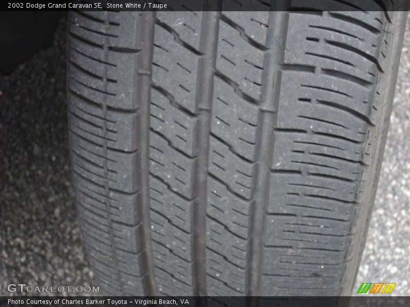 Stone White / Taupe 2002 Dodge Grand Caravan SE