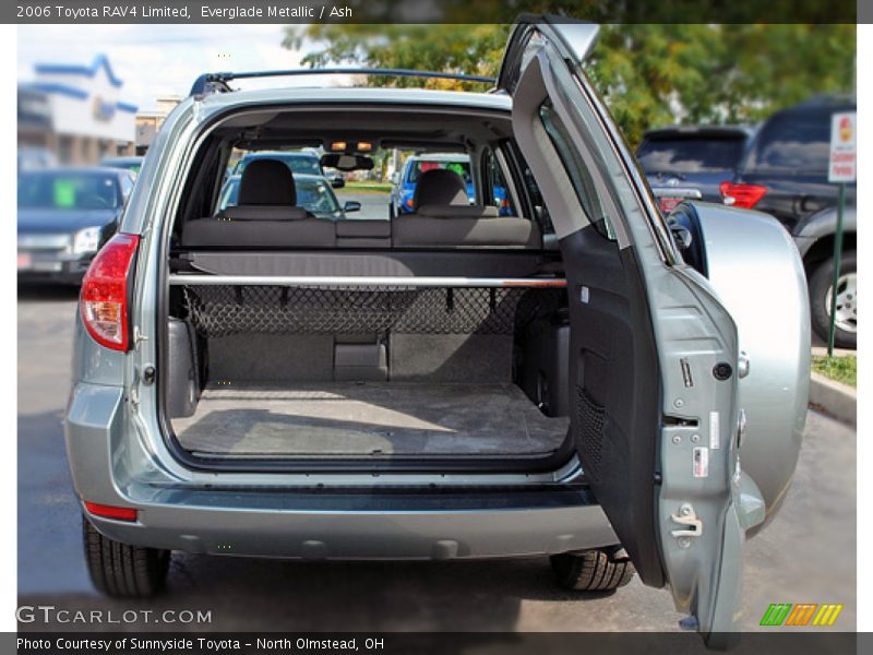Everglade Metallic / Ash 2006 Toyota RAV4 Limited