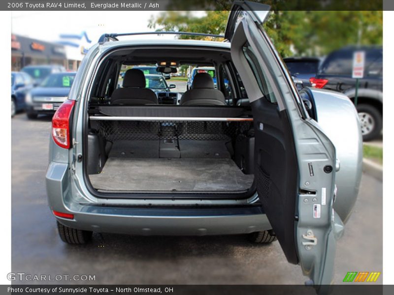 Everglade Metallic / Ash 2006 Toyota RAV4 Limited