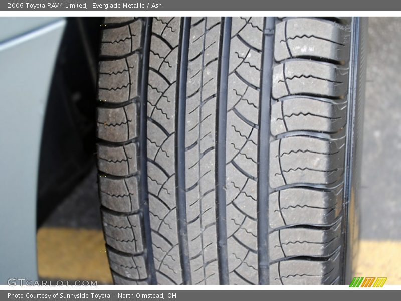 Everglade Metallic / Ash 2006 Toyota RAV4 Limited